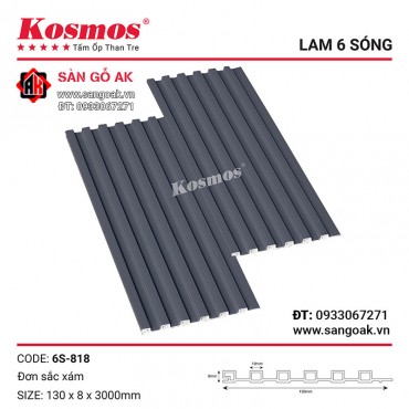 Lam sóng than tre đơn sắc Kosmos 6S-818